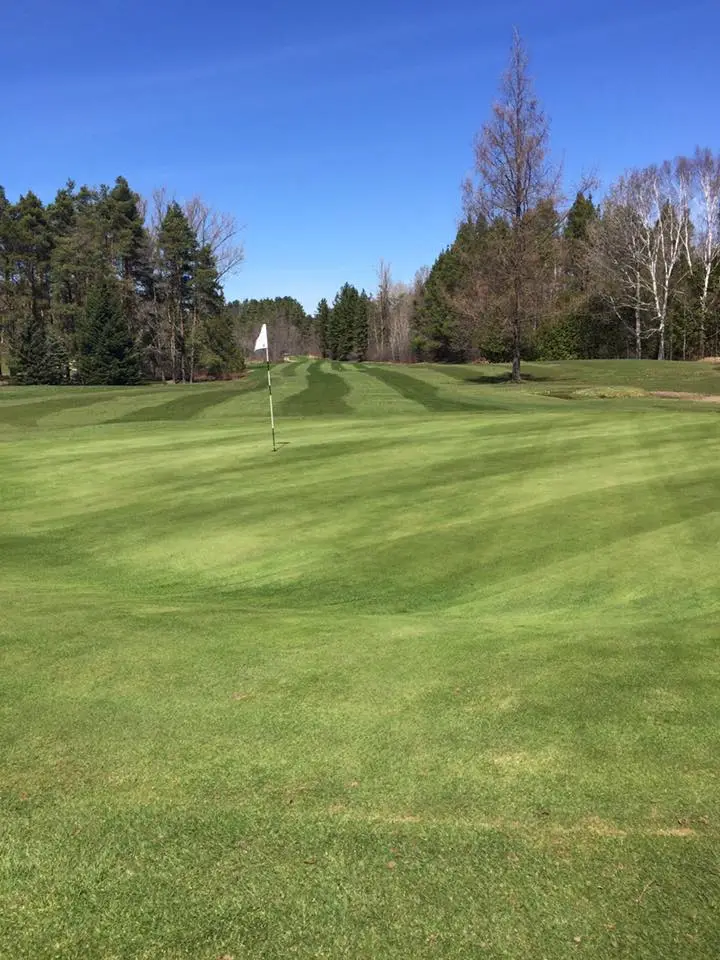 fresh-cut-green-3
